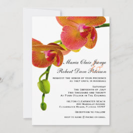 Convites Casamento Tropical Beach de Orquídeas Laranja Eleg