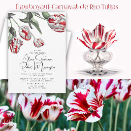 Convites Casamento | Tulipas de rembrandra vermelha e branc