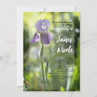 Casamento Verde da Flor Roxo Iris