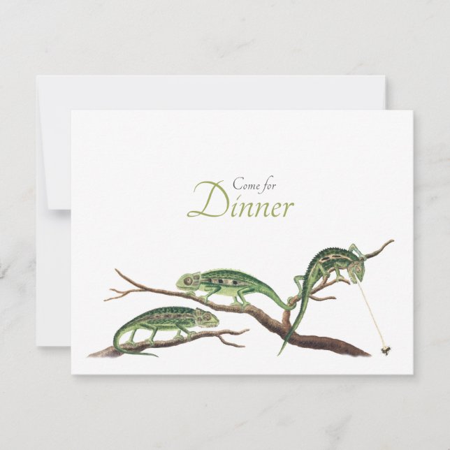 Convites Catching Flies Quirky Janta Chameleons (Frente)