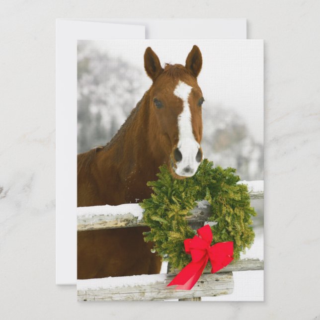 Convites Cavalo olhando sobre a cerca (Frente)