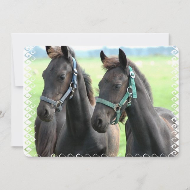 Convites Cavalo Preto (Frente)