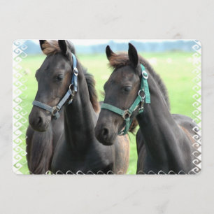 Convites Cavalo Preto