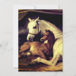 Convites Cavalos de Landseer