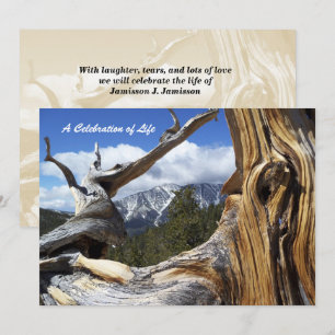 Convites Celebração da montanha nevado da vida através d