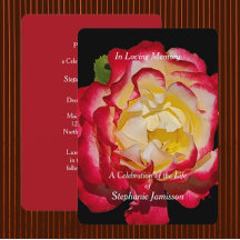 Celebração da Vida Floral de Rosa Vermelha e Doura