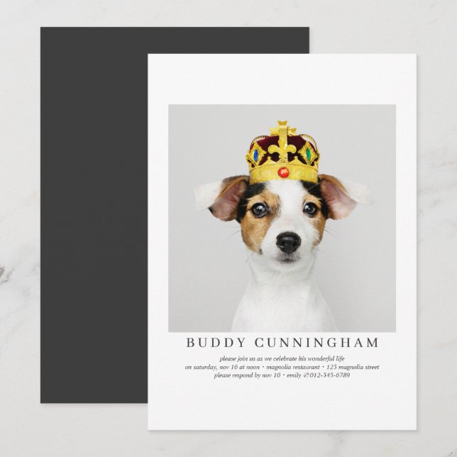 Convites Celebração da Vida Foto Simples de Pet Elegante (Frente/Verso)