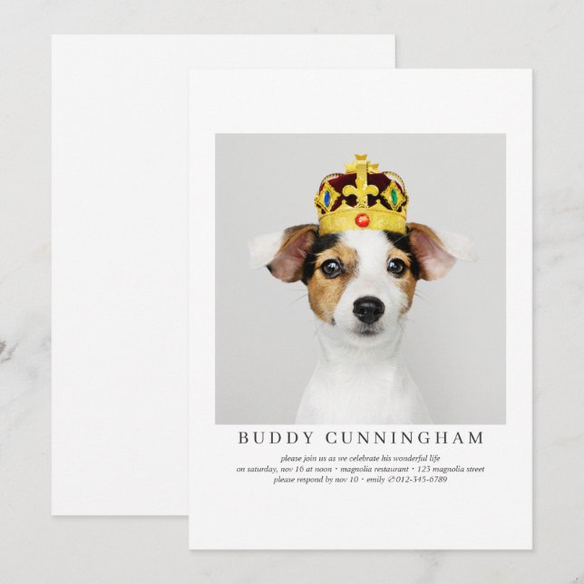 Convites Celebração da Vida Foto Simples de Pet Elegante (Frente/Verso)