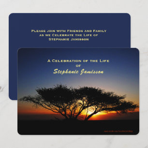 Convites Celebração da Vida, Lone Acacia Tree no Sunrise