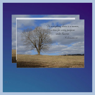 Convites Celebração da vida para tudo o que há por causa