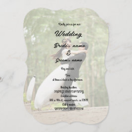 Convites Celebração de festa noiva