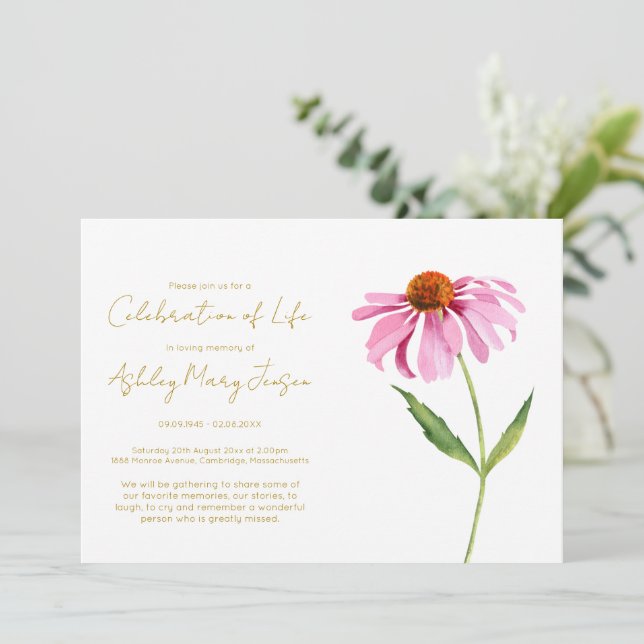 Convites Celebração de Vida Simples de Echinacea Funeral (Em pé/Frente)
