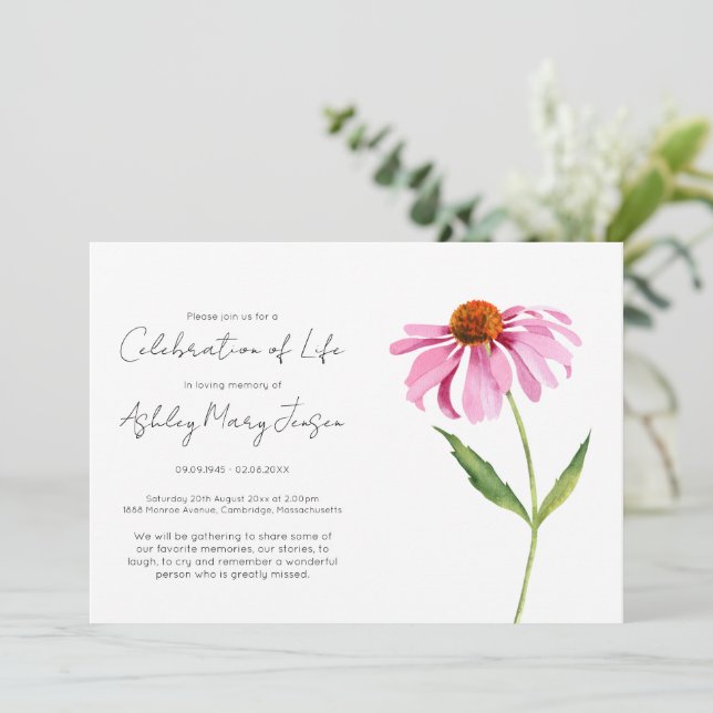 Convites Celebração de Vida Simples de Echinacea Funeral (Em pé/Frente)