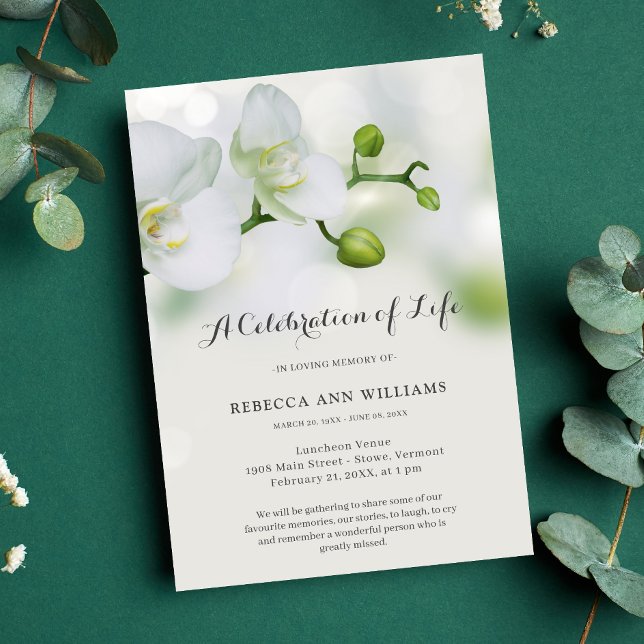 Convites Celebração do Funeral das Orquídeas Verde e Branca (Orchid Celebration of Life Invitation)