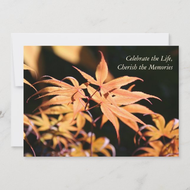 Convites Celebração do Serviço Memorial da Vida na Árvore 1 (Frente)