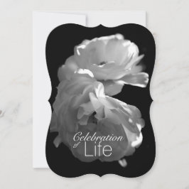 Convites Celebração do Serviço Memorial Life 3 White Rose
