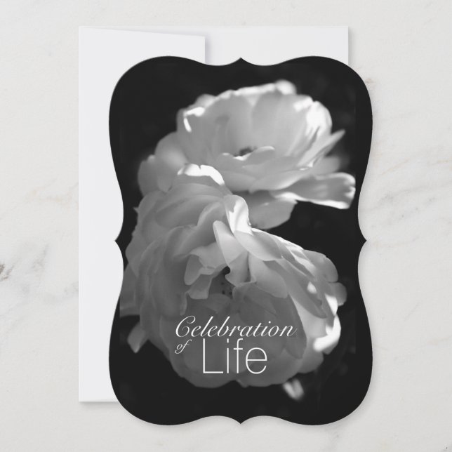 Convites Celebração do Serviço Memorial Life 3 White Rose (Frente)