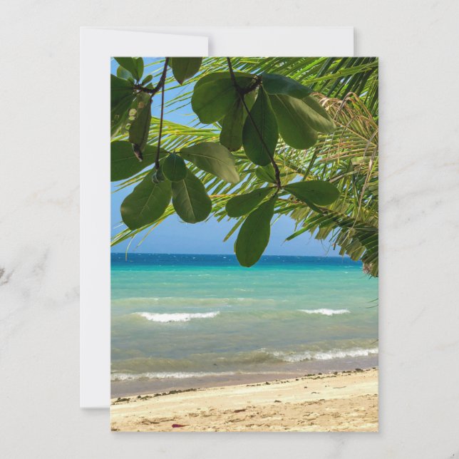 Convites Cenário de praia. Filipinas. Moalboal. praia branc (Frente)