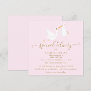 Convites Chá de Bebê de Entrega Especial da Cegonha / Sprin