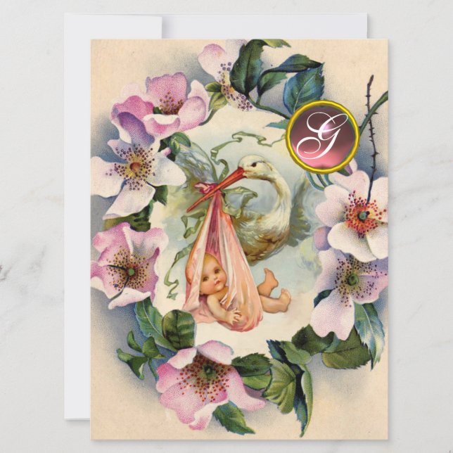 CONVITES CHÁ DE FRALDAS DE GAROTA DE ARMAZENAMENTO, ROSAS S (Frente)