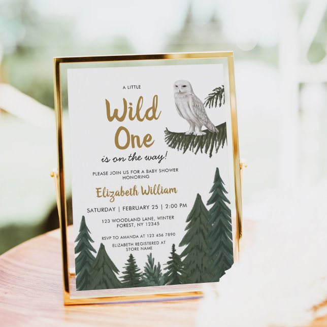 Convites Chá de fraldas de Ilustração de Feira de Neve (Criador carregado)