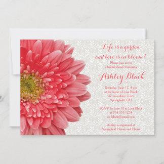Convites Chá de panela Coral Gerber Daisy Lace