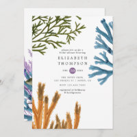 Chá de panela da praia com algas aquáticas