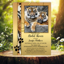 Chá de panela do Zoo Tiger Safari