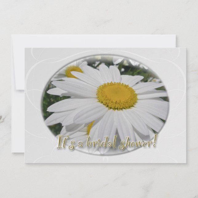 Convites Chá de panela Oxeye Daisy Wildflower (Frente)