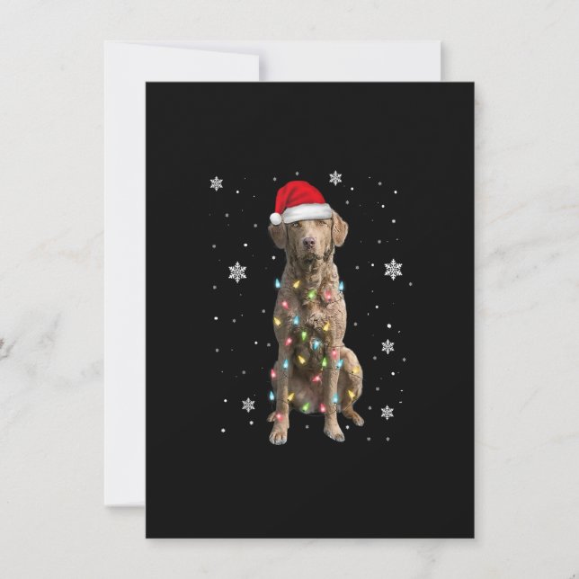 Convites Chesapeake Bay Retriever Dog Christmas Xmas Mom Da (Frente)