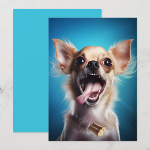 Convites Chihuahua Em Ação