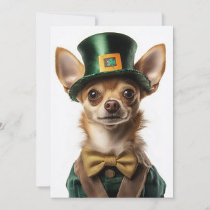 Convites Chihuahua vestiu Rua de Leprechaun. Dia de Patrick