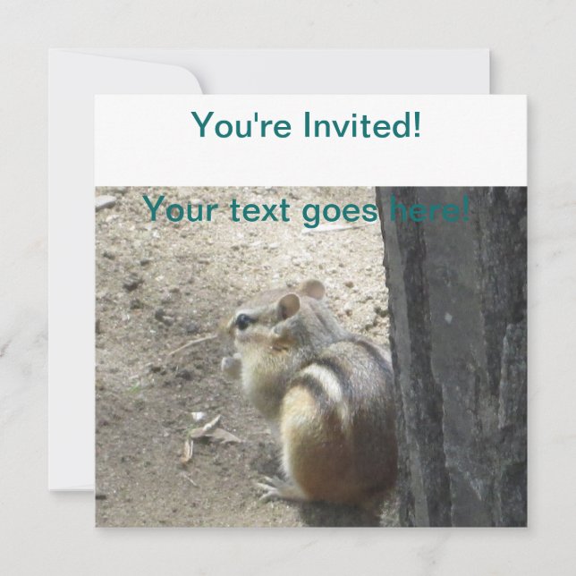 Convites Chipmunk Midland Ontario (Frente)