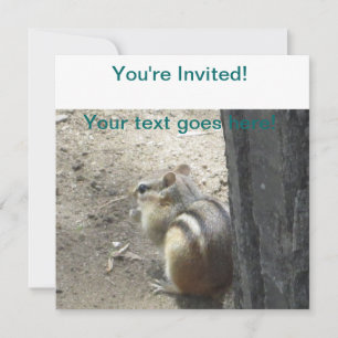 Convites Chipmunk Midland Ontario