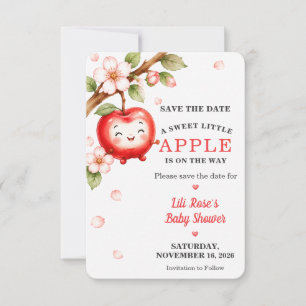 Convites Chuva de Bênçãos Baby Shower Save The Date