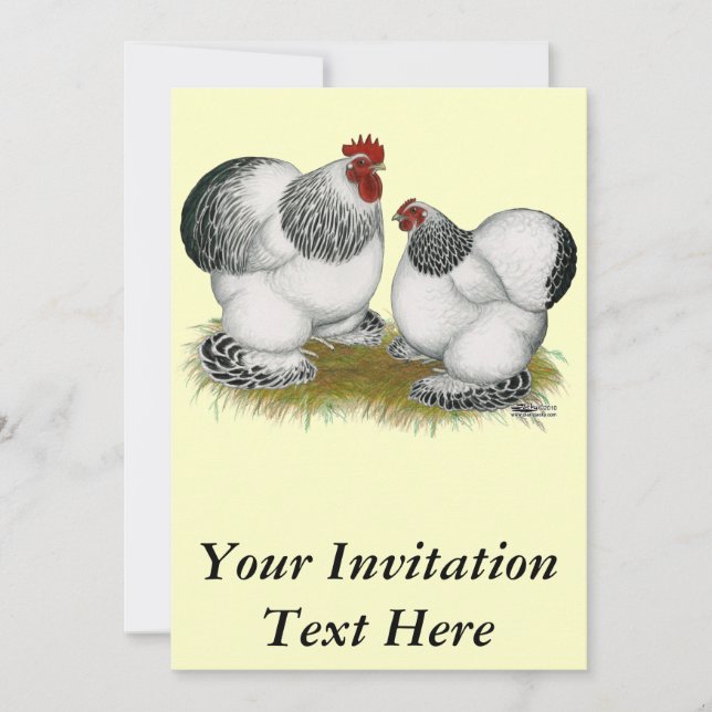 Convites Cochins: Bantams Columbianos (Frente)