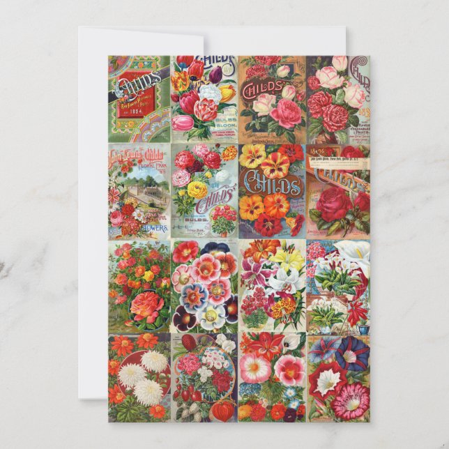 Convites Colagem de Jardim de Pacotes de Sementes de Flor V (Frente)
