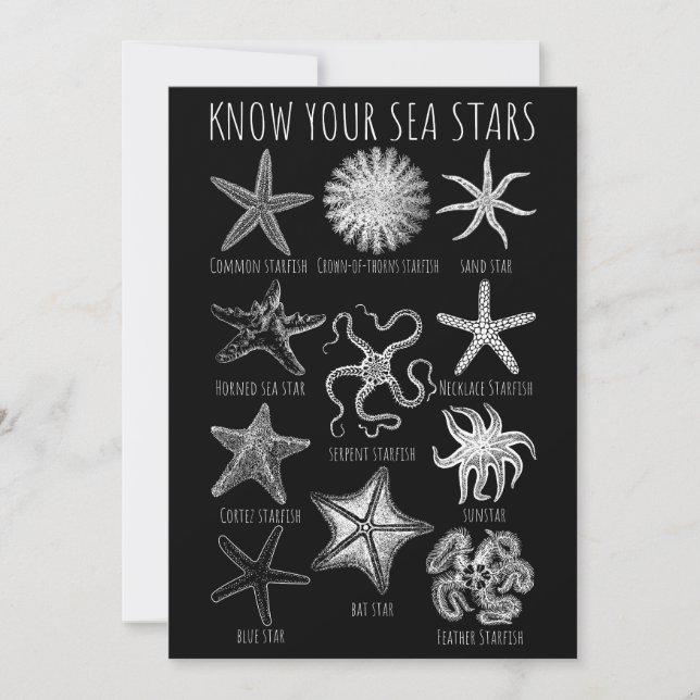 Convites Conheça Suas Estrelas do Mar - Grupos de Starfish (Frente)