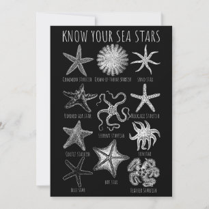 Convites Conheça Suas Estrelas do Mar - Grupos de Starfish