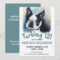 Convidando 12 Boston Terrier