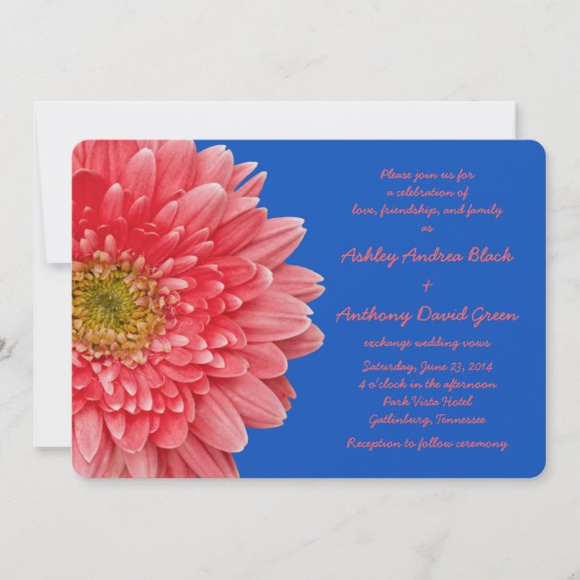 Convites Coral Gerbera Daisy Royal Blue Weditation Invitati (Frente)