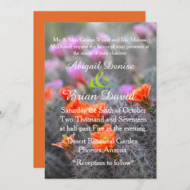 Convites Cores do fundo laranja do deserto