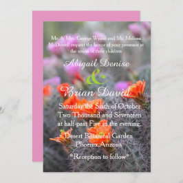 Convites Cores do fundo rosa do deserto