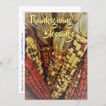 Corno Índio Colorido 2 / Cartão-postal de Ação de