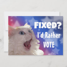 Correto? Eu Preferencialmente Voto