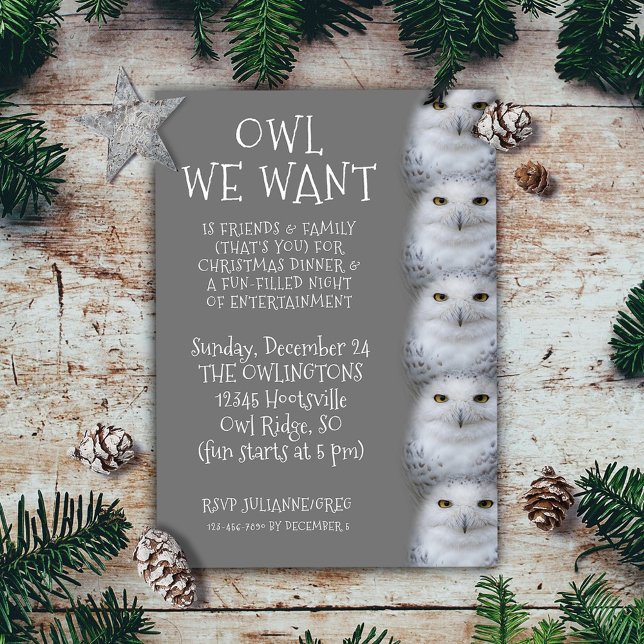 Convites Coruja Engraçada Que Queremos para o Natal... Snow (Funny Owl We Want for Christmas ... Snowy Owls Invitation Flat Card Cover Photo.)