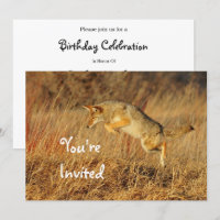 Coyote Brown Autumn Grass Foto Aniversário