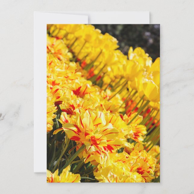 Convites Crescendo em Dourado (Frente)