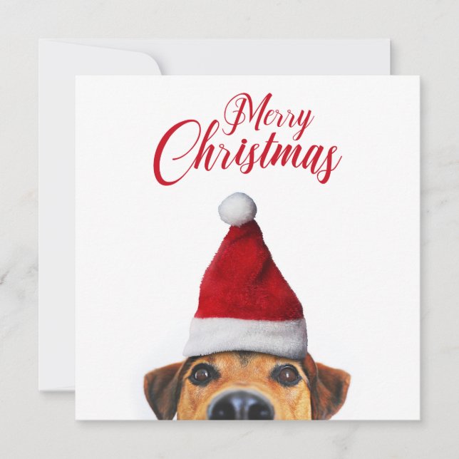 Convites Curioso Cachorro Engraçado com Papai Noel (Frente)
