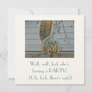 CONVITES CURIOSO ESQUIRREL NA FENÇA OLHANDO PARA A CASA